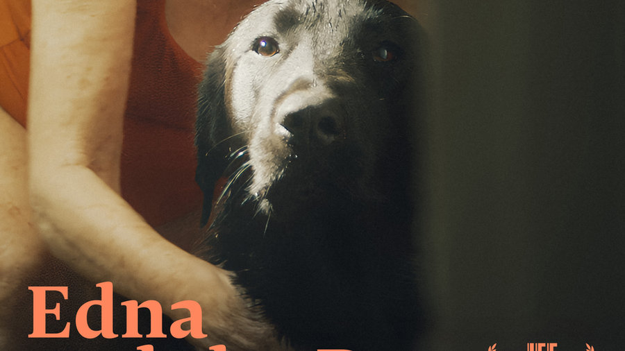 Edna and the Dog