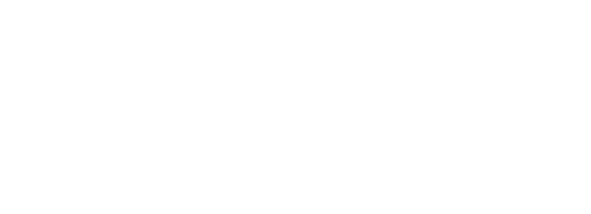 Gal Lev · Music Concept